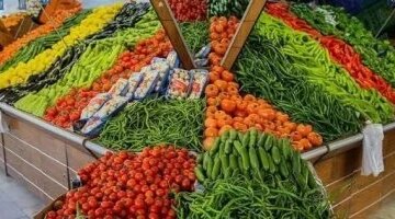 تغيرات في أسعار الخضراوات اليوم بأسواق مطروح والخيار يسجل 20 جنيهاً