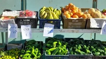 تغيرات ملحوظة في أسعار الخضراوات والفاكهة بأسواق محافظة المنوفية اليوم الأحد