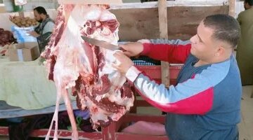 تفاوت أسعار اللحوم والدواجن والأسماك في الوادي الجديد و340 جنيها للبلدي