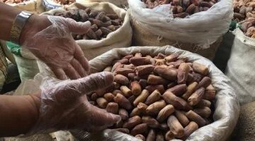 تقلبات أسعار البلح السيوى والتمور داخل أسواق محافظة مطروح يوم السبت