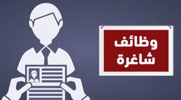 فرص عمل في المبيعات والجرافيك والموارد البشرية برواتب تصل لـ 25 ألف جنيه
