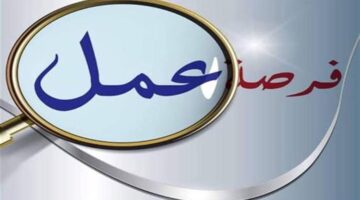 فرص عمل متنوعة في تخصصات مختلفة برواتب تبدأ من 8 آلاف جنيه