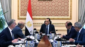 قرار رئيس الوزراء بشأن إسقاط الجنسية المصرية عن المنضمين لجيوش دول أجنبية
