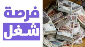 وزارة العمل تطرح 45 فرصة عمل بشركة سيراميك براتب 7000 جنيه