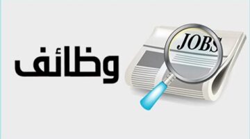 وزارة العمل تطرح فرص عمل بدمياط برواتب تصل إلى 13 ألف جنيه