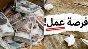 وزارة العمل تطرح وظائف لسائقي النقل الثقيل واللودر بميناء دمياط برواتب مجزية