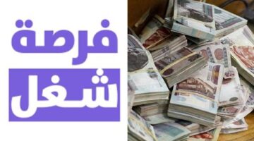 وزارة العمل تفتح باب التوظيف في السويس برواتب تصل لـ 25 ألف جنيه