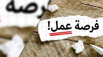 وزارة العمل توفر 296 فرصة عمل برواتب تصل إلى 25 ألف جنيه بالسويس