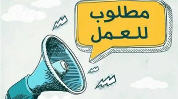 وزارة العمل توفر آلاف الفرص بمشروع الضبعة برواتب تصل لـ 25 ألف جنيه