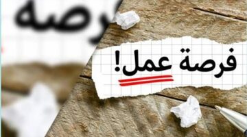 وظائف وزارة العمل توفر فرص عمل تصل رواتبها إلى 13 ألف جنيه