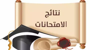 آلية الاستعلام عن نتائج الامتحانات عبر تطبيق محافظات مصر بعد اعتمادها ظهوراً