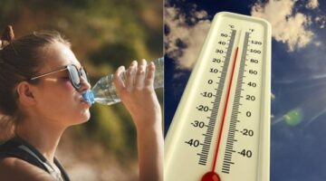 ارتفاع درجات الحرارة والرطوبة يرفع العظمى في القاهرة إلى 36 درجة