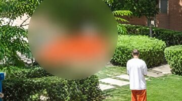 الأمن يفحص ملابسات سقوط سيدة من شرفة كمبوند بمدينة أكتوبر واستجواب شابين