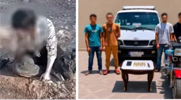 الداخلية تلاحق 4 متهمين تورطوا في استدراج سيدة والاعتداء عليها بالجيزة