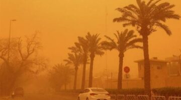 انخفاض الرؤية لأقل من ألف متر بسبب عواصف ترابية تضرب حلايب وشلاتين