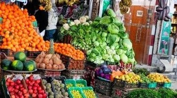 تباين مستويات أسعار الخضراوات والفاكهة في أسواق محافظة المنوفية اليوم الثلاثاء