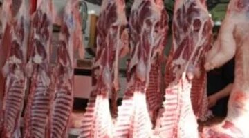 تباين ملحوظ في أسعار الدواجن واللحوم والأسماك بداخل أسواق محافظة سوهاج الجديدة