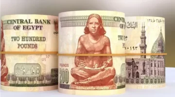 تثبيت الفائدة في البنوك المصرية يرفع عائد أعلى شهادات الادخار لـ 22%