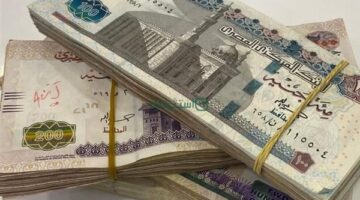 تطبيق زيادة مرتبات العاملين بالدولة ورفع الحد الأدنى للأجور إلى 8000 جنيه