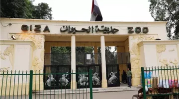 تفاصيل إعادة افتتاح حديقة الحيوان وموعد تغيير الاسم إلى جنينة الحيوانات