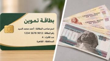تفاصيل شرائح الدعم النقدي الجديدة وآليات الصرف عبر بطاقات التموين التكنولوجية