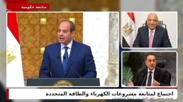توجيهات رئاسية للحكومة ووزير الكهرباء لتطوير مشروعات الطاقة المتجددة في مصر