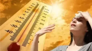 حالة الطقس من الأحد إلى الخميس: تقلبات حرارية وشبورة مائية ورياح متوقعة