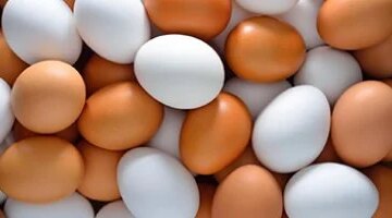 سعر طبق البيض الأبيض في القليوبية اليوم يبلغ 73 جنيهاً في الأسواق