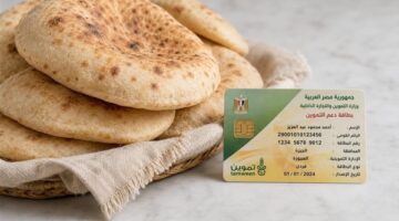 شعبة المخابز تحسم الجدل حول موعد تطبيق الدعم النقدي للخبز وقيمة وسعره