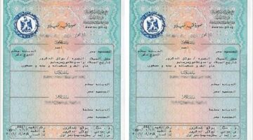 طرق استخراج شهادة الميلاد المميكنة من السجلات المدنية أو عبر توصيلها للمنازل