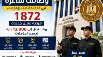 فرص عمل برواتب 12 ألف جنيه متاحة لجميع المؤهلات الدراسية المختلفة