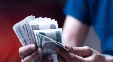 مصدر ينفي اعتماد أرقام الدعم النقدي وشعبة المخابز تطالب بتوضيح مخالفات الخبز