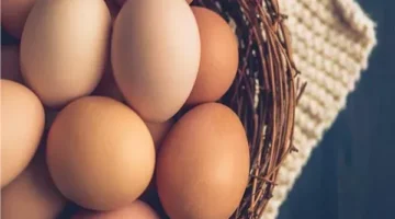 وزارة التموين تخفض سعر طبق البيض في المنافذ إلى 85 جنيهًا