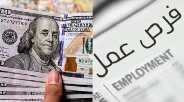 وزارة العمل تطرح 350 فرصة زراعية بالخارج برواتب محددة ومهلة تقديم قصيرة