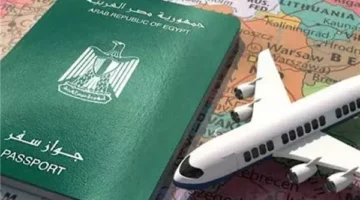 7 دول تقدم منحاً مالية ورواتب مغرية للمهاجرين بشروط إقامة محددة