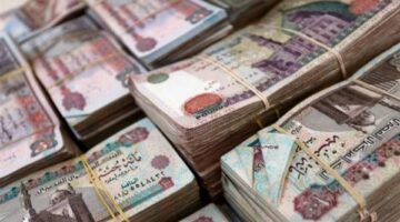 اتحاد أصحاب المعاشات يطالب برفع الحد الأدنى وإلغاء رسوم السحب البنكية