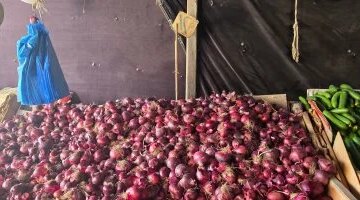 استقرار أسعار الخضراوات والفاكهة داخل أسواق الإسماعيلية خلال تعاملات يوم الأحد