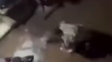 الأمن يفحص فيديو شارع مصطفى كامل بالإسكندرية وشهود يكشفون ملابسات الواقعة