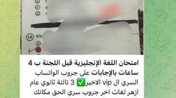 التعليم تحذر طلاب الثانوية من مزاعم تسريب امتحان الإنجليزي مقابل 500 جنيه