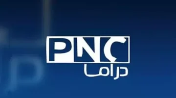 السجن 3 سنوات لرئيس بانوراما دراما في نزاع مالي بقيمة 600 ألف دولار