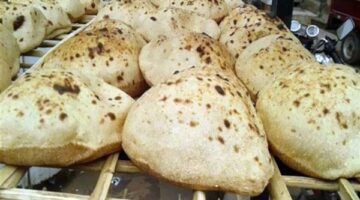 بداية تطبيق الخصم المباشر للخبز المدعم من التموين مطلع أغسطس دون تغيير الحصة