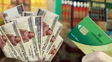بوابة مصر الرقمية تفتح باب إضافة المواليد على بطاقات التموين لفئات محددة