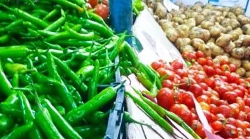 تراجع سعر الطماطم إلى 15 جنيها ضمن قائمة أسعار الخضراوات بكفر الشيخ