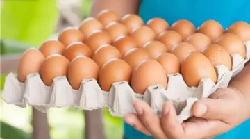 رئيس قسم الإرشاد البيطري تكشف لغز ظهور الصفار الأحمر داخل البيض المحلي