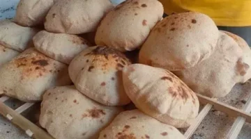 سعر رغيف الخبز 20 قرشا وتحديد حصة الفرد بخمسة أرغفة بدءاً من أغسطس