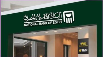 فرص عمل في البنك الأهلي المصري لخريجي دفعات 2022 حتى 2025