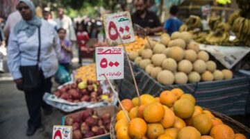 وزارة التموين تطبق سعراً موحداً في 3000 منفذ لضبط أسواق السلع الغذائية