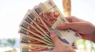 حقيقة صرف منحة استثنائية لأصحاب المعاشات بمناسبة المولد النبوي وموقف معاشات سبتمبر