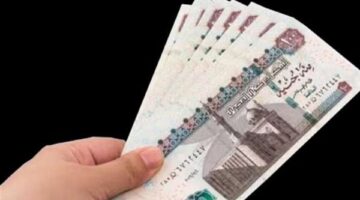 صرف منحة المولد النبوي بقيمة 1500 جنيه للعمالة غير المنتظمة عبر البريد