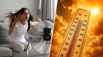ارتفاع الحرارة والرطوبة وشبورة مائية واضطراب في الملاحة البحرية غداً الجمعة